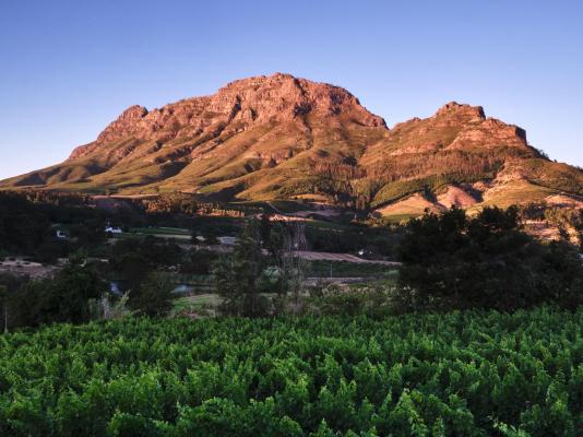 Alluvia Boutique Winery - 288772