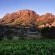 Alluvia Boutique Winery - 288772