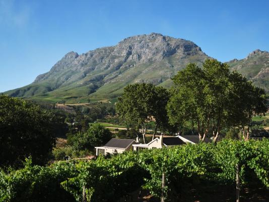 Alluvia Boutique Winery - 288779