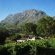 Alluvia Boutique Winery - 288779