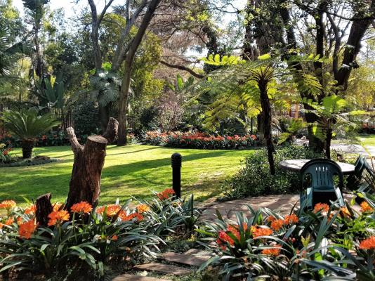 Tuishuis Lodge - 288846