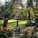 Tuishuis Lodge - 288846