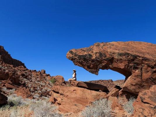 Twyfelfontein Mopane Camp - 289031