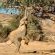 Twyfelfontein Mopane Camp - 289033
