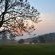 Halliwell Country Inn - 289264