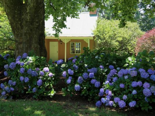 Halliwell Country Inn - 289265