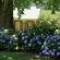 Halliwell Country Inn - 289265