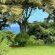 Seaforth Country House - 289434