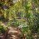 Seaforth Country House - 289437