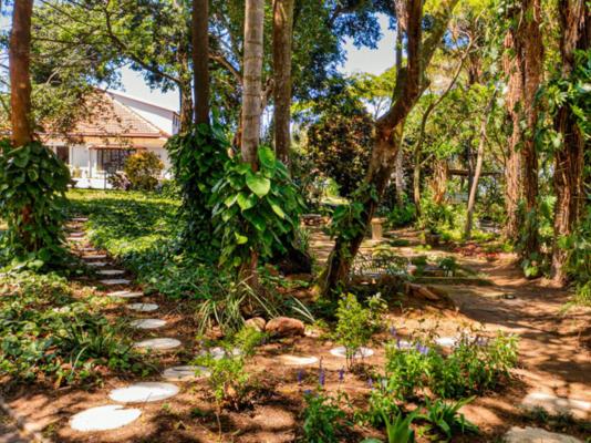 Seaforth Country House - 289439
