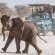 Mushara Bush Camp - 289646