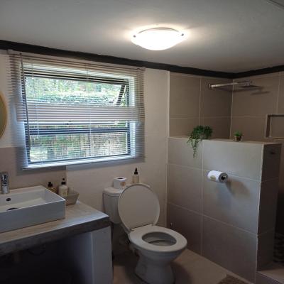 Room image 7