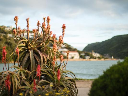 Amanzi Island Boutique Hotel - 289870