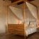 Apricot suite