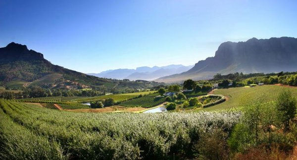 Alluvia Specialist Winery & Guesthouse