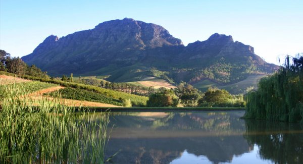 Alluvia Specialist Winery & Guesthouse