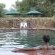 Outdoor Swimming Pool
