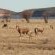 Camdeboo National Park