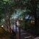 Mkuze Falls Private Game Reserve