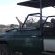 Afternoon Game Drive
