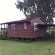 Log Home Gum Tree