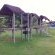 Jungle Gym