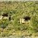 Bush camp