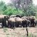 Motswiri Private Safari Lodge