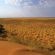 Kgalagadi Transfrontier Park
