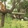Kapama Private Game Reserve