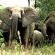 Kapama Private Game Reserve