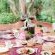 Eat in the garden 