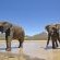 Aquila Private Game Reserve