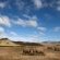 Aquila Private Game Reserve