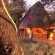 Mkhaya Game Reserve