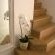 stairs leading from hallway