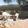 Bambatsi Guest Farm 