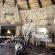 Etusis Lodge