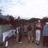 Malelane (Satellite Camp) - Kruger Park