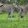 Kruger Adventure Lodge