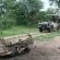 Kruger Adventure Lodge