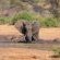 Elephant Valley Lodge