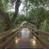 Path