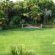 The Garden