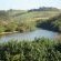Tweni Waterfront Guest Lodge