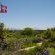 Lodge garden and vineyard views.