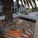 The Wild Mushroom Boutique Hotel