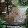 Garden, patio and pool