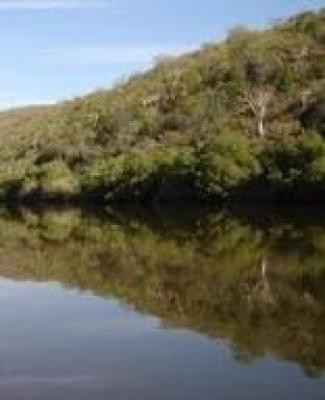 Vaalwater