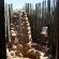 The Springbok Lodge